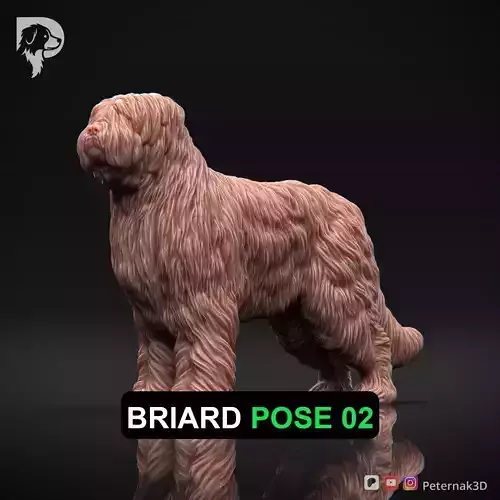 Dog 3D Print Model Briard Dog Pose 02 Ready STL
