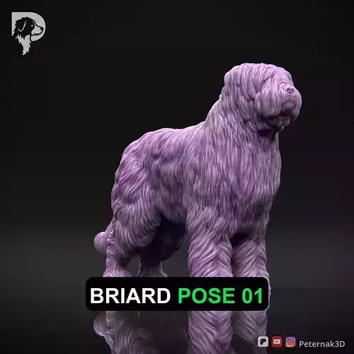 Dog 3D Print Model Briard Dog Pose 01 Ready STL