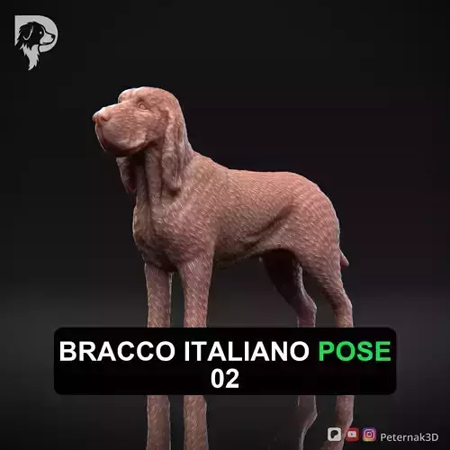 Dog 3D Print Model Bracco Italiano Dog Pose 02 Ready STL 3D print model