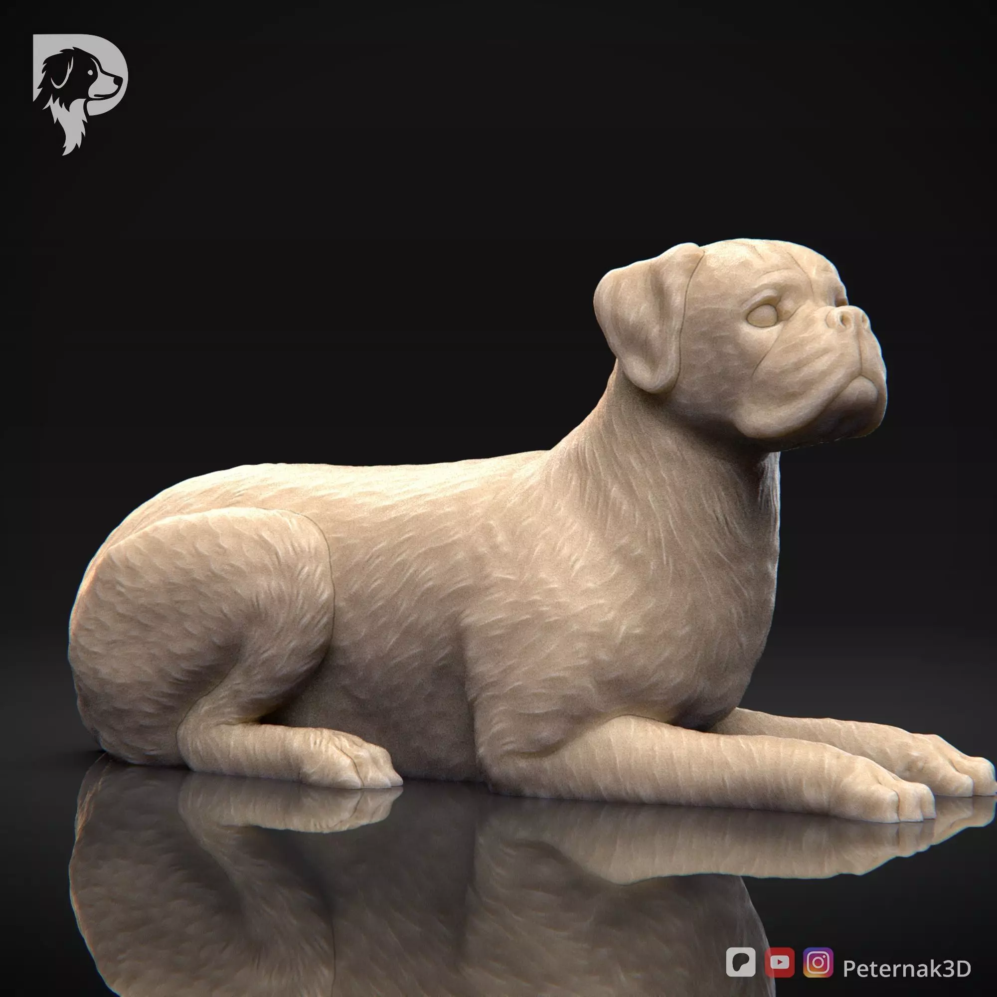 Dog 3D Print Model Boxer Dog Pose 09 Ready STL 3D print model_3