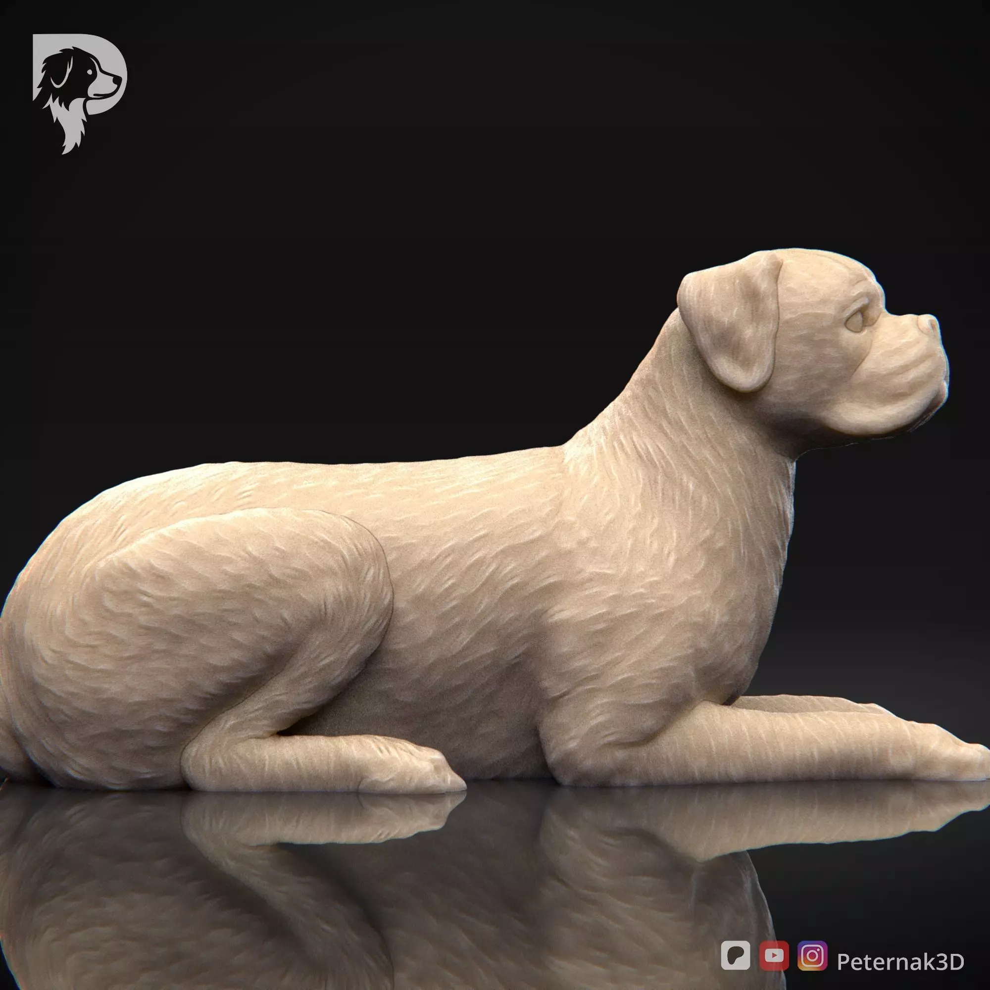 Dog 3D Print Model Boxer Dog Pose 09 Ready STL 3D print model_4