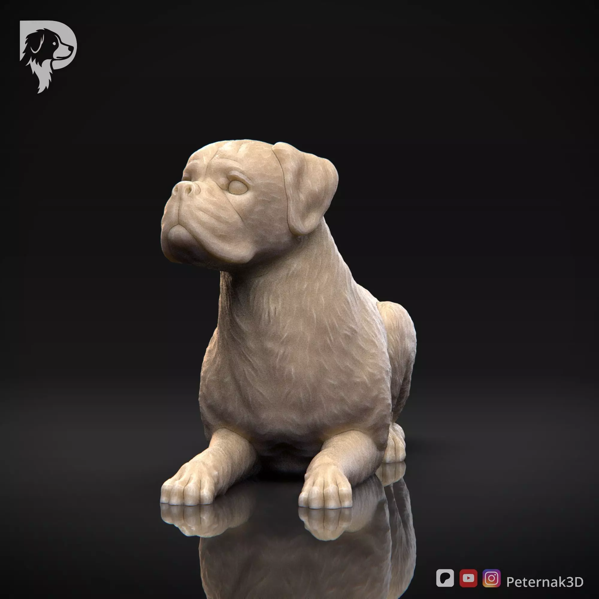 Dog 3D Print Model Boxer Dog Pose 09 Ready STL 3D print model_11