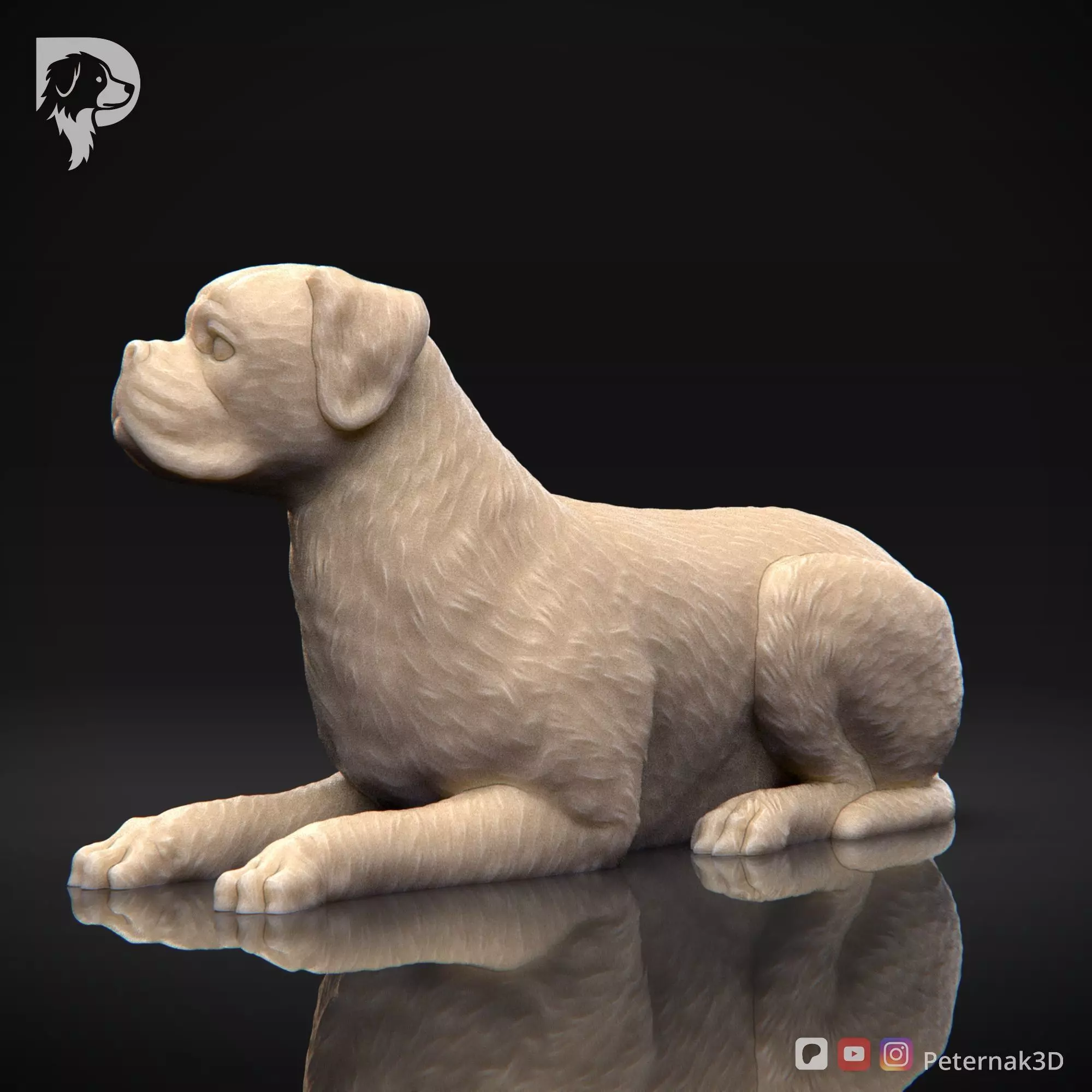 Dog 3D Print Model Boxer Dog Pose 09 Ready STL 3D print model_10