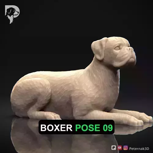 Dog 3D Print Model Boxer Dog Pose 09 Ready STL