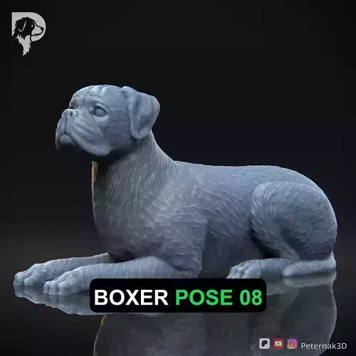 Dog 3D Print Model Boxer Dog Pose 08 Ready STL