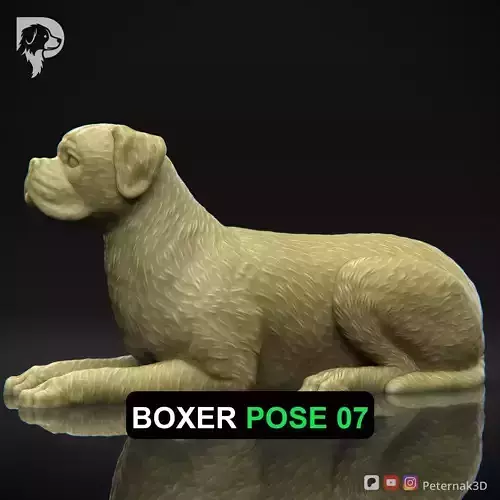 Dog 3D Print Model Boxer Dog Pose 07 Ready STL