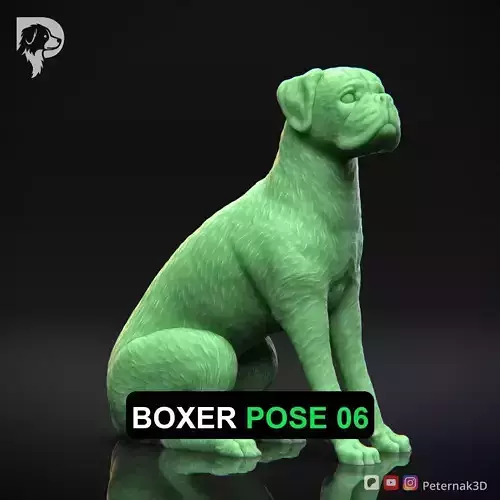 Dog 3D Print Model Boxer Dog Pose 06 Ready STL