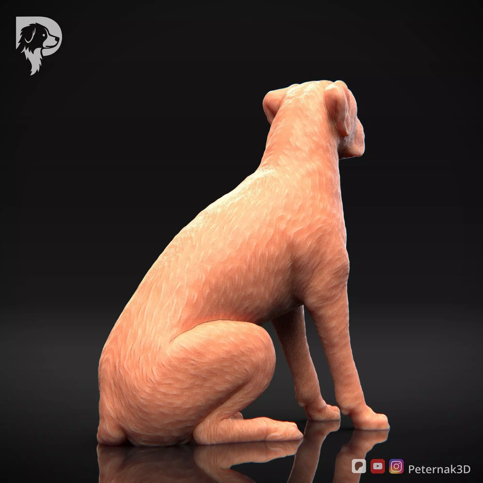 Dog 3D Print Model Boxer Dog Pose 05 Ready STL 3D print model_6