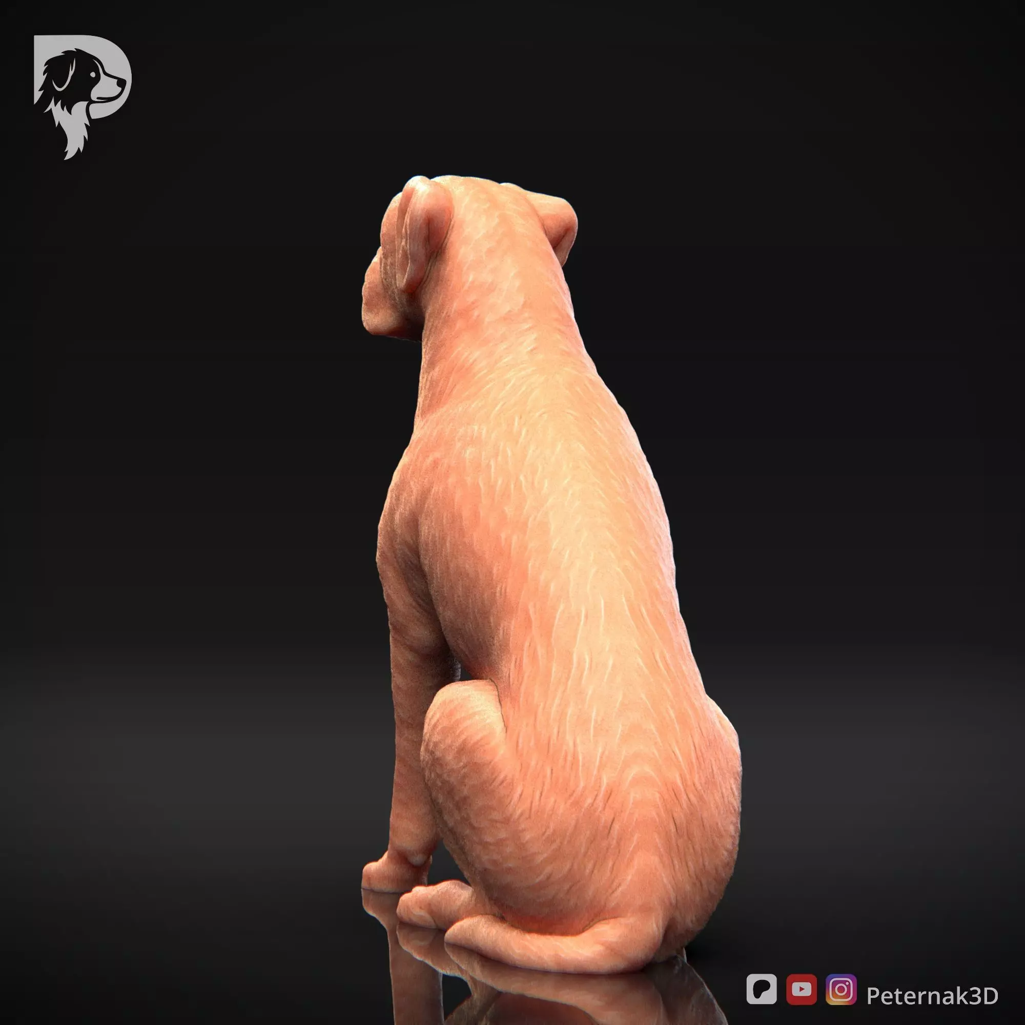 Dog 3D Print Model Boxer Dog Pose 05 Ready STL 3D print model_8