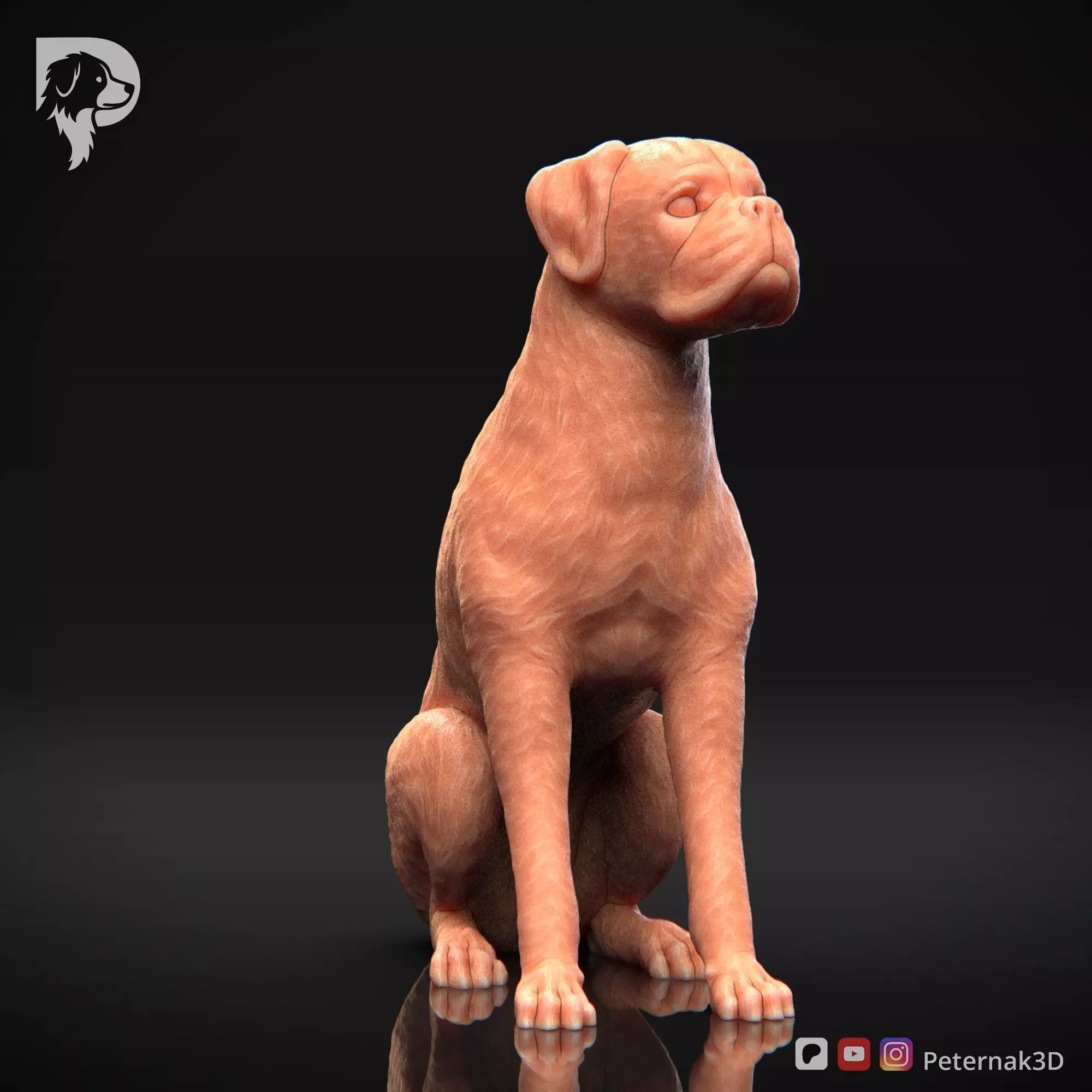 Dog 3D Print Model Boxer Dog Pose 05 Ready STL 3D print model_3