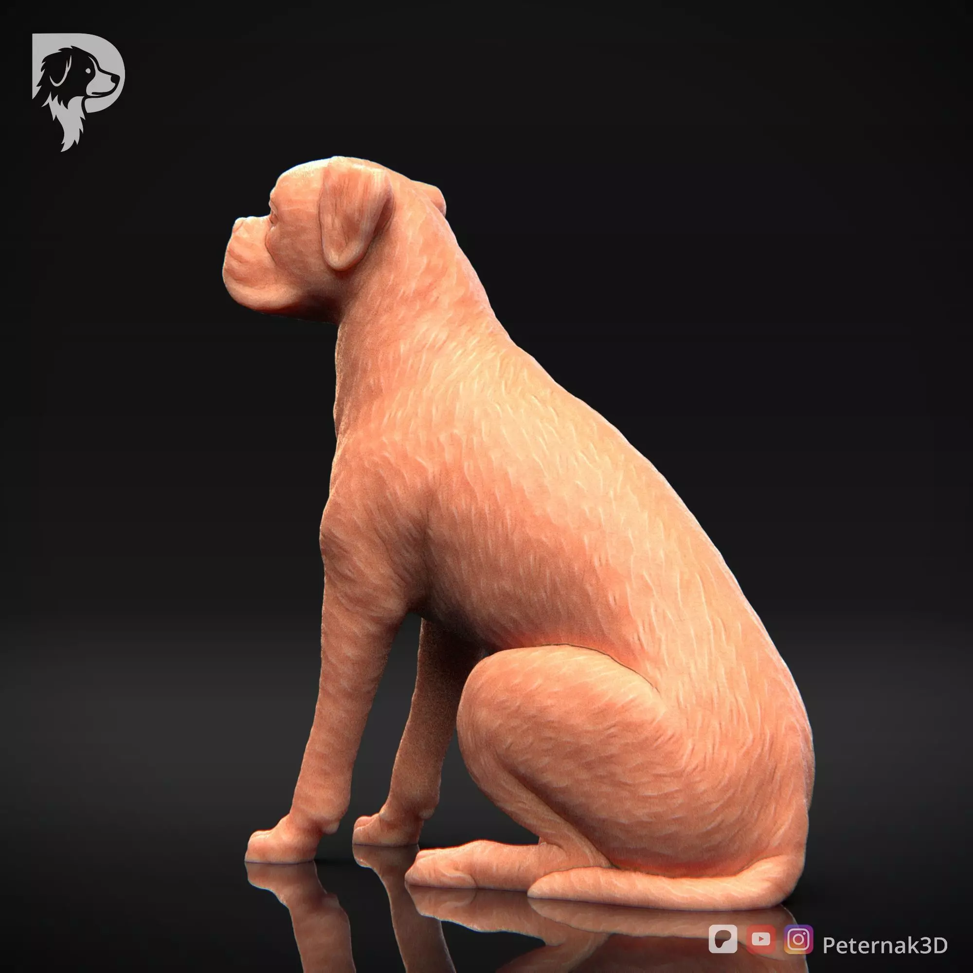 Dog 3D Print Model Boxer Dog Pose 05 Ready STL 3D print model_9