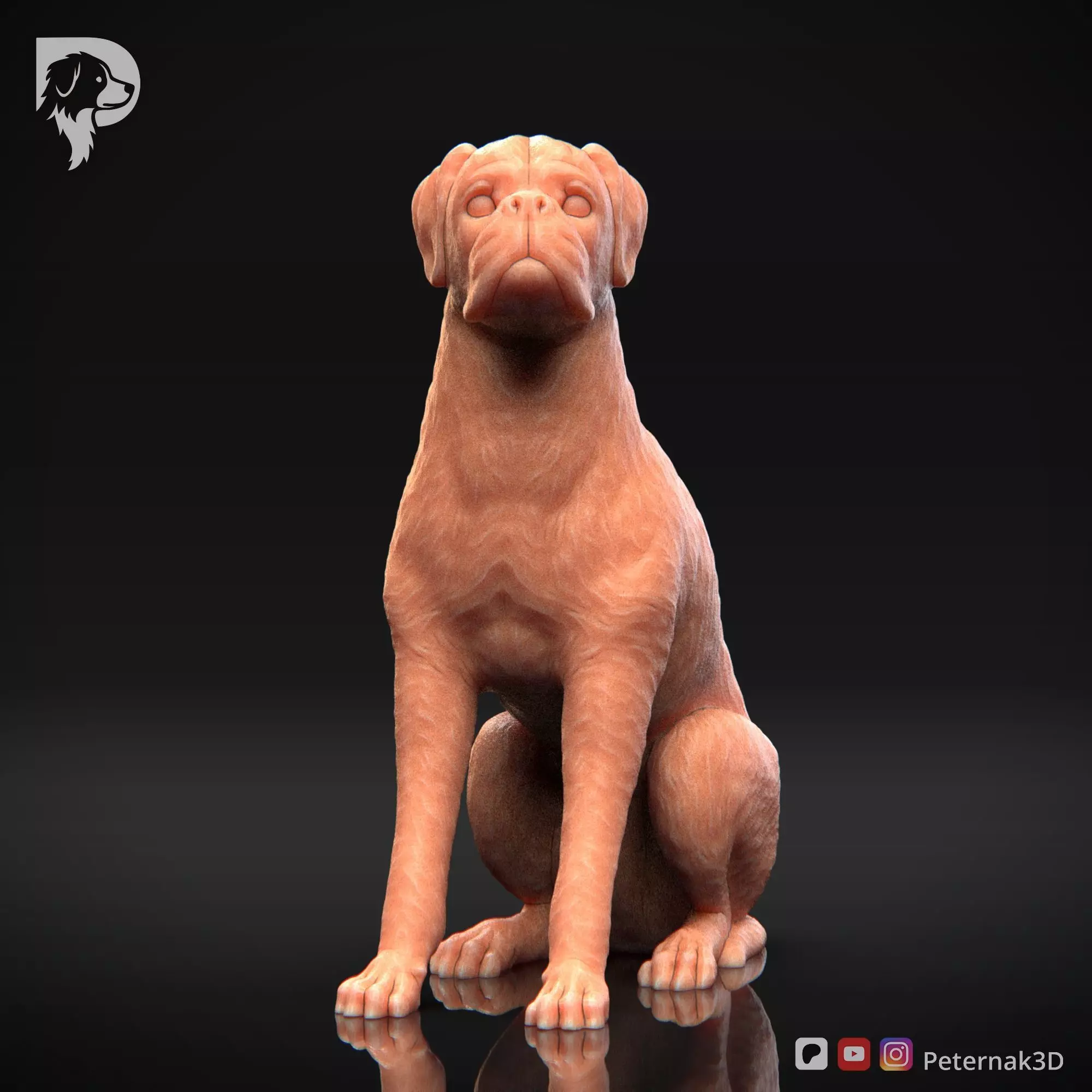 Dog 3D Print Model Boxer Dog Pose 05 Ready STL 3D print model_2