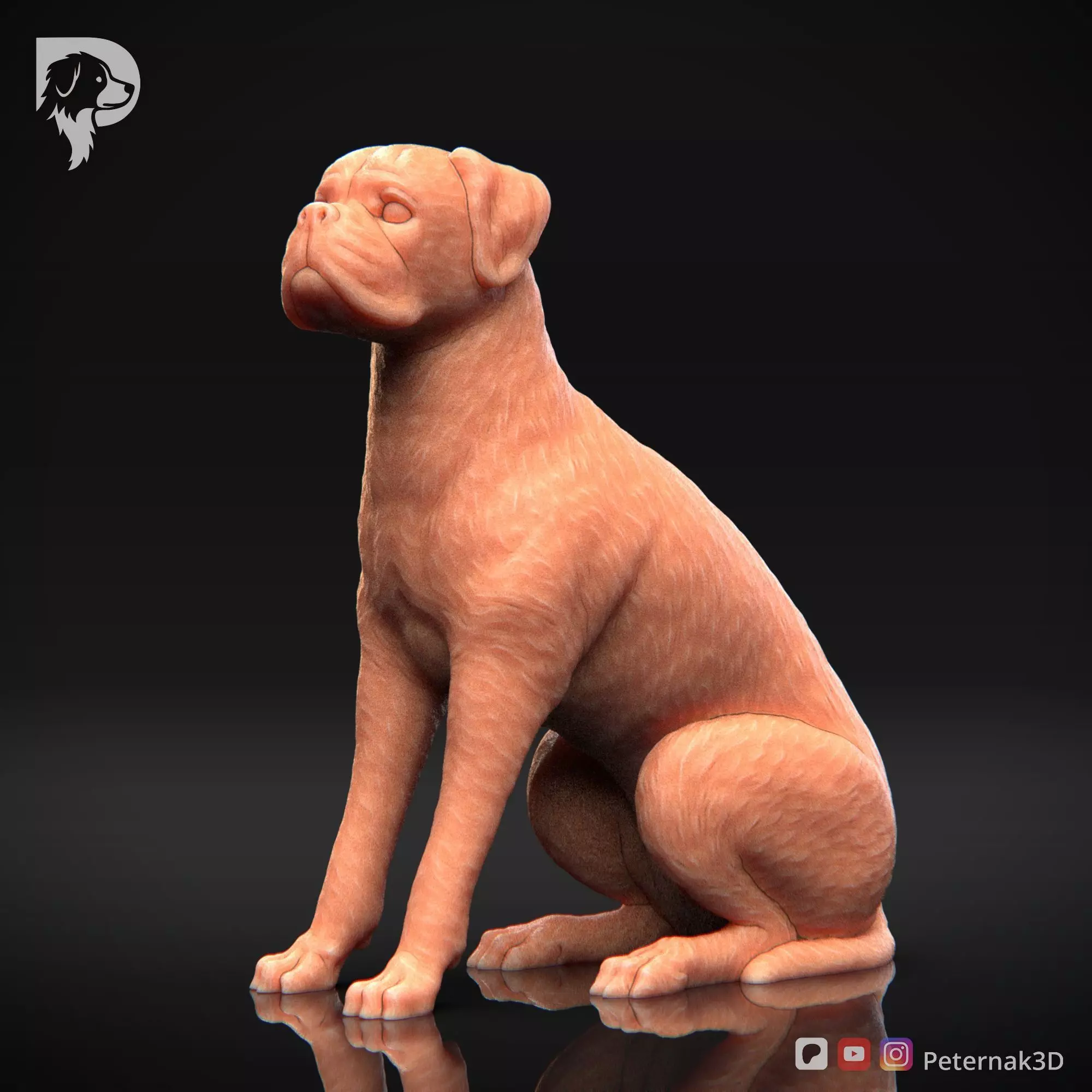 Dog 3D Print Model Boxer Dog Pose 05 Ready STL 3D print model_11