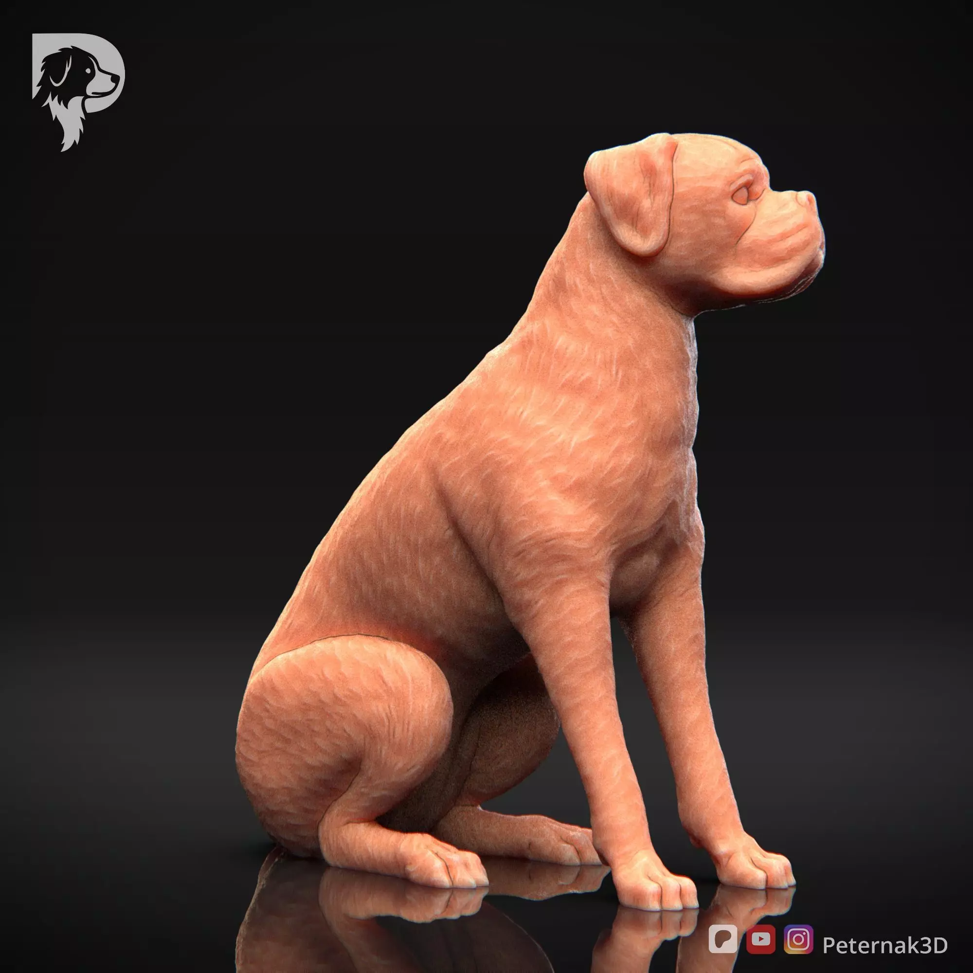 Dog 3D Print Model Boxer Dog Pose 05 Ready STL 3D print model_4