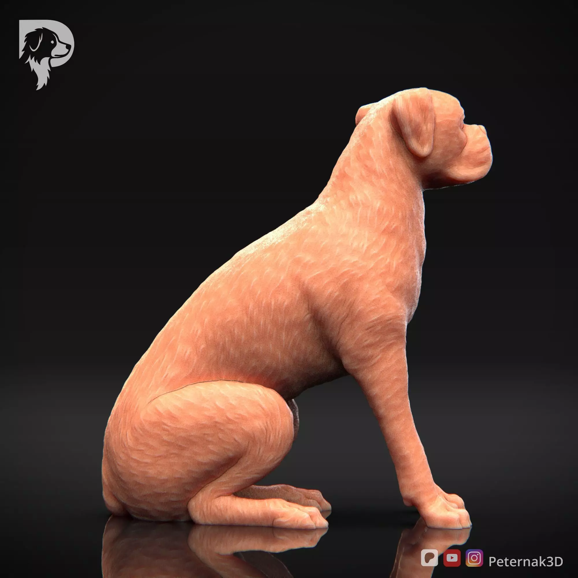 Dog 3D Print Model Boxer Dog Pose 05 Ready STL 3D print model_5