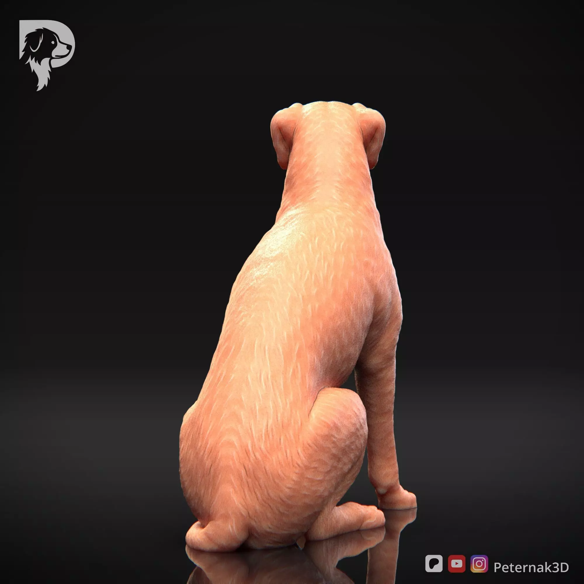 Dog 3D Print Model Boxer Dog Pose 05 Ready STL 3D print model_7