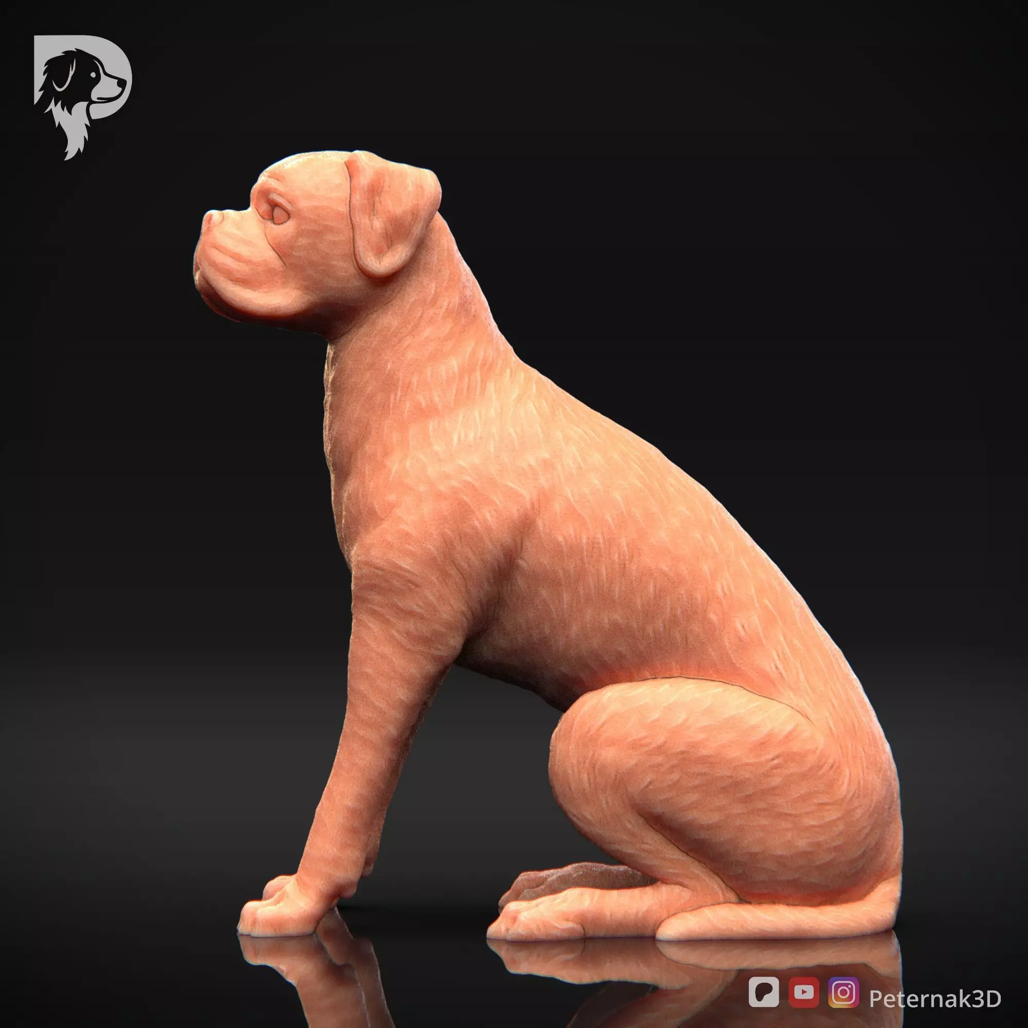 Dog 3D Print Model Boxer Dog Pose 05 Ready STL 3D print model_10