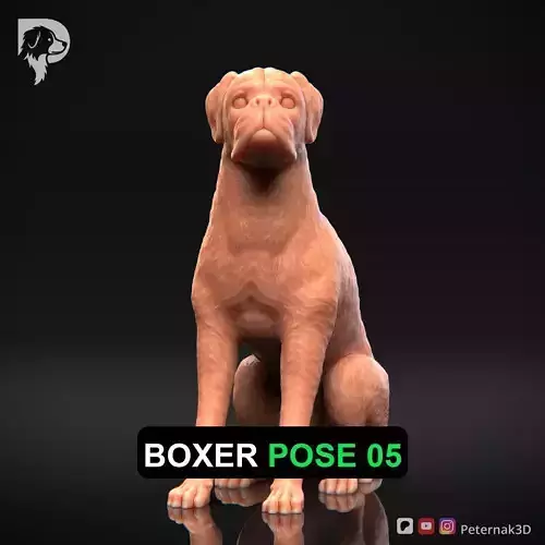Dog 3D Print Model Boxer Dog Pose 05 Ready STL