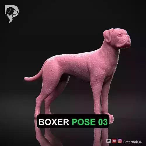 Dog 3D Print Model Boxer Dog Pose 03 Ready STL