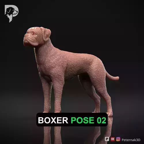 Dog 3D Print Model Boxer Dog Pose 02 Ready STL