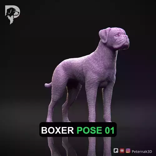 Dog 3D Print Model Boxer Dog Pose 01 Ready STL