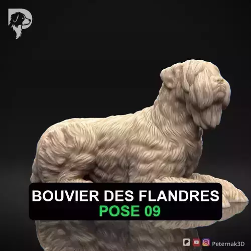 Dog 3D Print Model Bouvier des Flandres Dog Pose 09 Ready STL