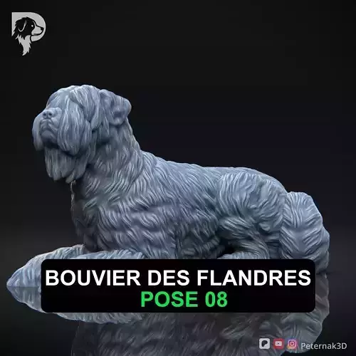 Dog 3D Print Model Bouvier des Flandres Dog Pose 08 Ready STL