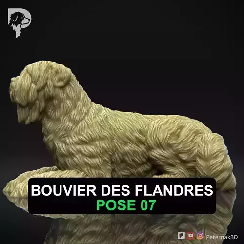 Dog 3D Print Model Bouvier des Flandres Dog Pose 07 Ready STL