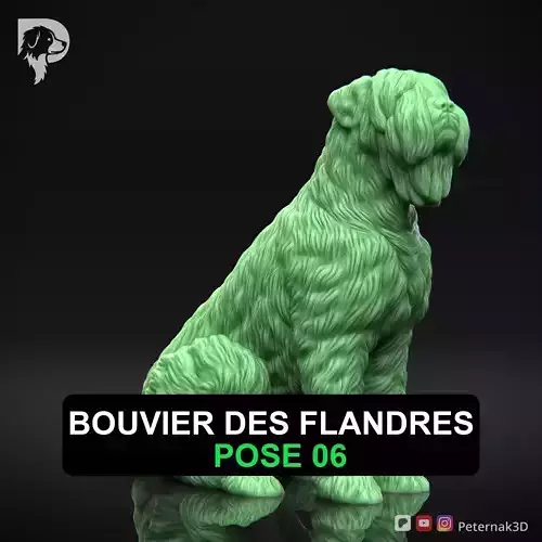 Dog 3D Print Model Bouvier des Flandres Dog Pose 06 Ready STL