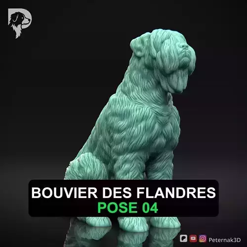 Dog 3D Print Model Bouvier des Flandres Dog Pose 04 Ready STL