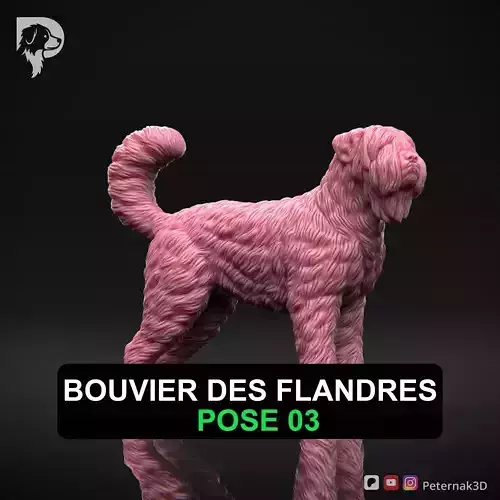 Dog 3D Print Model Bouvier des Flandres Dog Pose 03 Ready STL