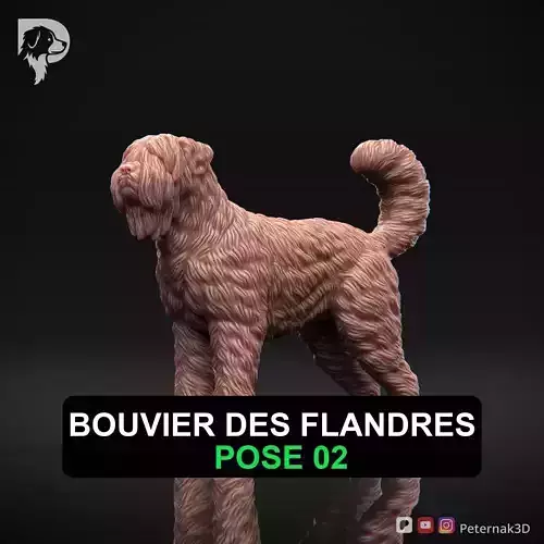 Dog 3D Print Model Bouvier des Flandres Dog Pose 02 Ready STL