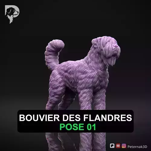 Dog 3D Print Model Bouvier des Flandres Dog Pose 01 Ready STL