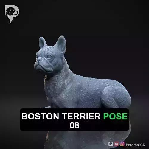 Dog 3D Print Model Boston Terrier Dog Pose 08 Ready STL