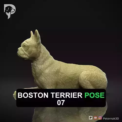 Dog 3D Print Model Boston Terrier Dog Pose 07 Ready STL