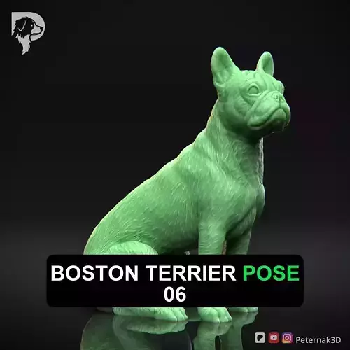 Dog 3D Print Model Boston Terrier Dog Pose 06 Ready STL