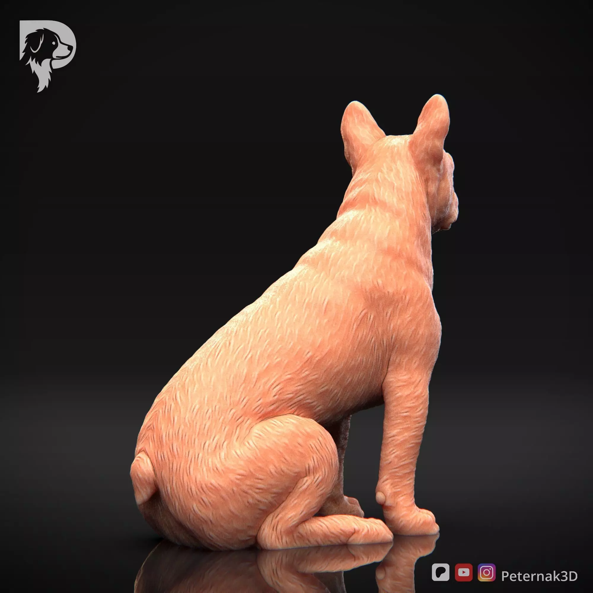 Dog 3D Print Model Boston Terrier Dog Pose 05 Ready STL 3D print model_6
