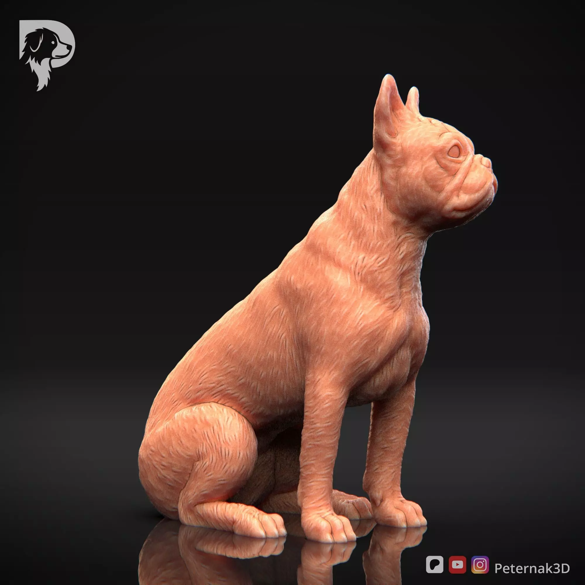Dog 3D Print Model Boston Terrier Dog Pose 05 Ready STL 3D print model_4