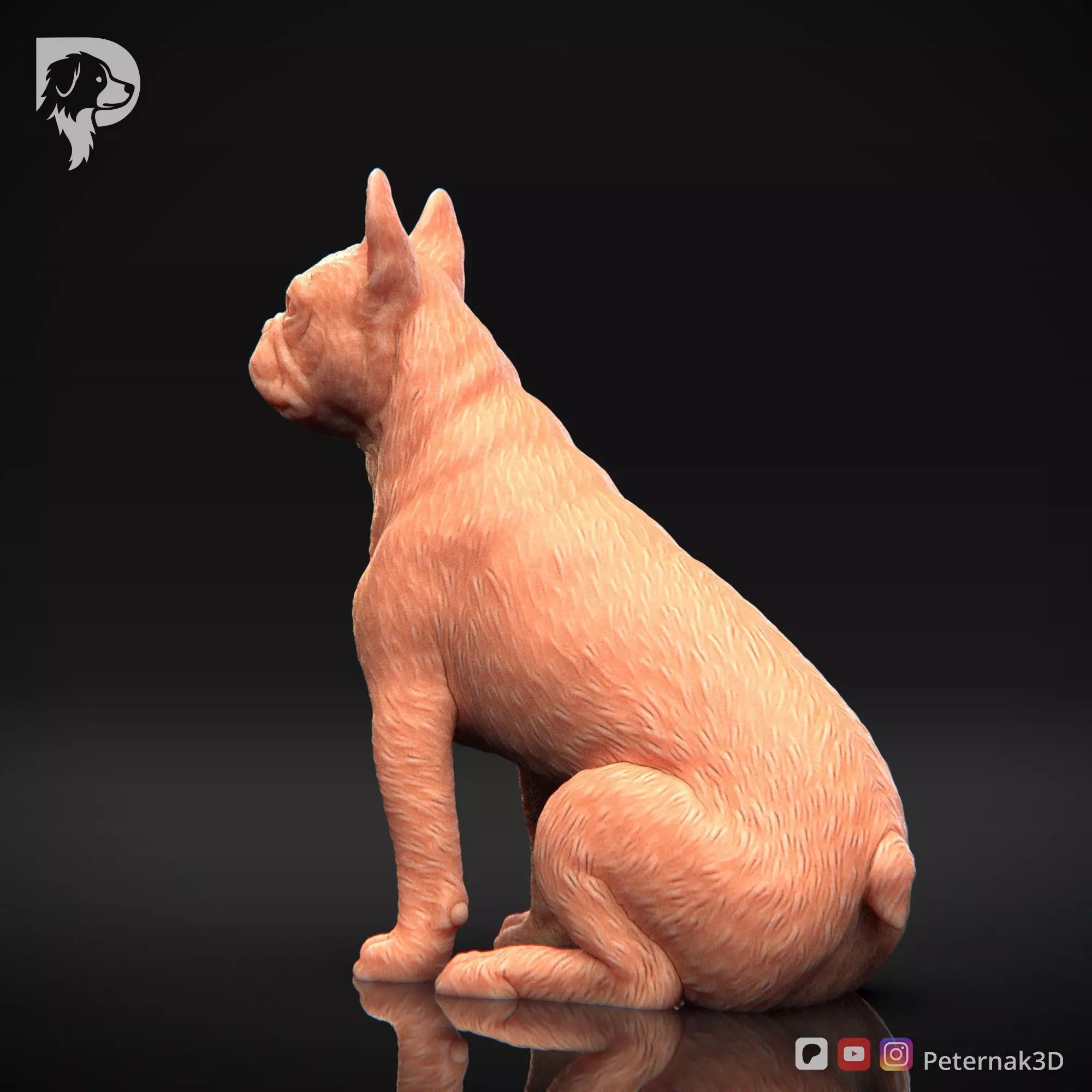 Dog 3D Print Model Boston Terrier Dog Pose 05 Ready STL 3D print model_9