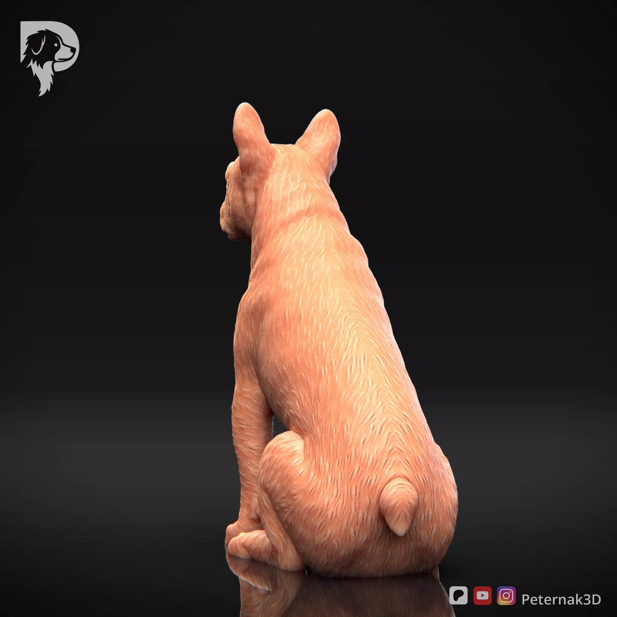 Dog 3D Print Model Boston Terrier Dog Pose 05 Ready STL 3D print model_8