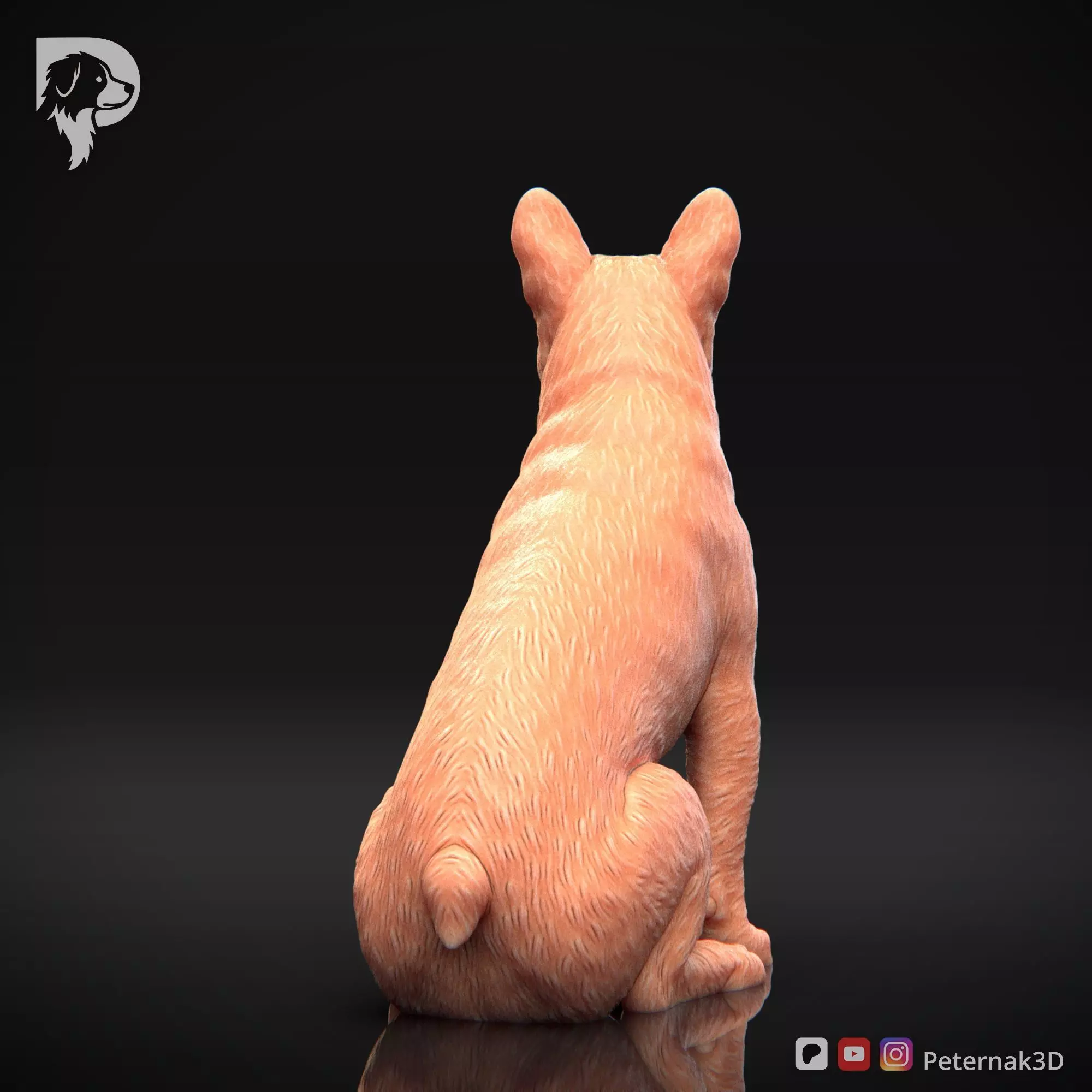 Dog 3D Print Model Boston Terrier Dog Pose 05 Ready STL 3D print model_7
