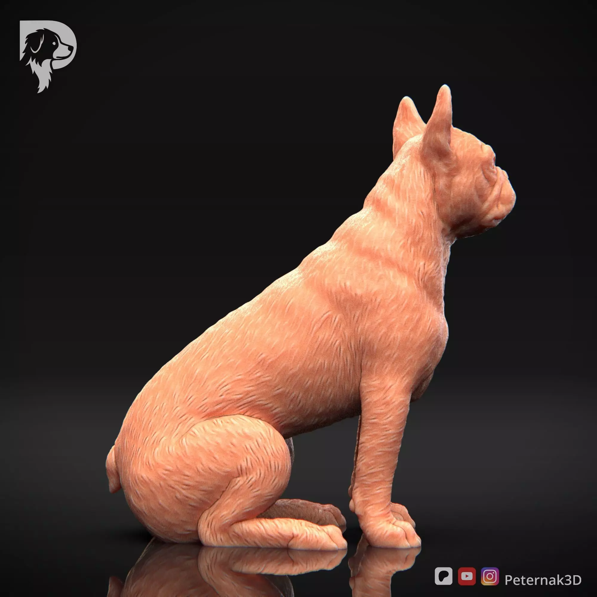 Dog 3D Print Model Boston Terrier Dog Pose 05 Ready STL 3D print model_5