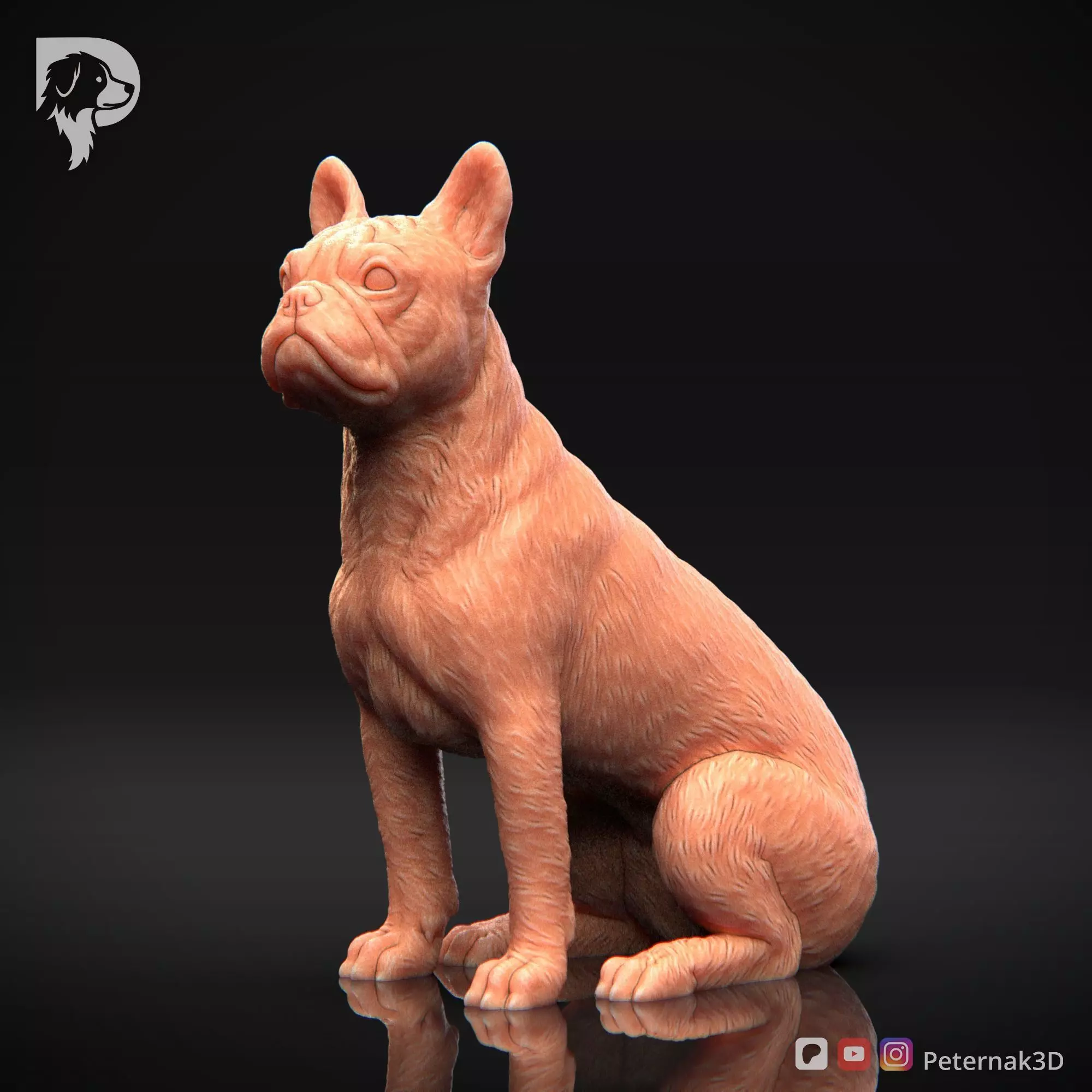 Dog 3D Print Model Boston Terrier Dog Pose 05 Ready STL 3D print model_11