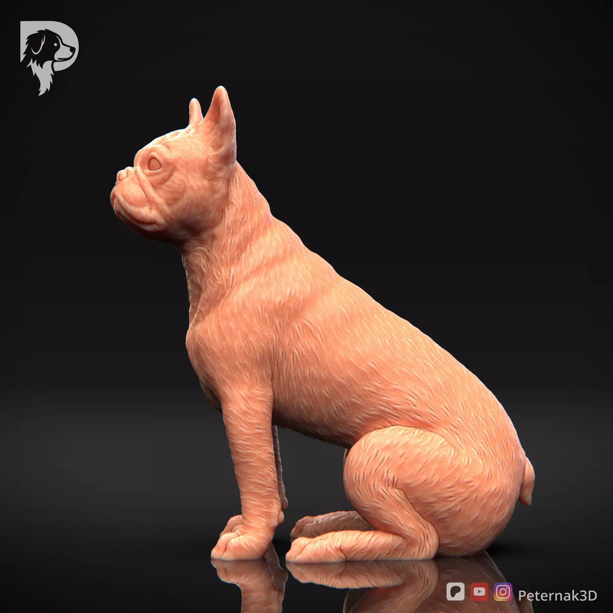 Dog 3D Print Model Boston Terrier Dog Pose 05 Ready STL 3D print model_10