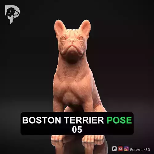 Dog 3D Print Model Boston Terrier Dog Pose 05 Ready STL