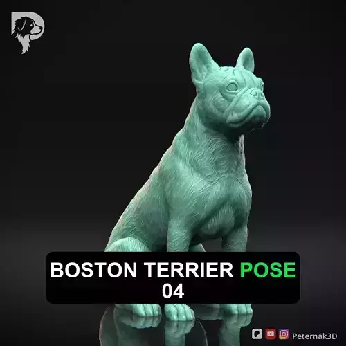 Dog 3D Print Model Boston Terrier Dog Pose 04 Ready STL