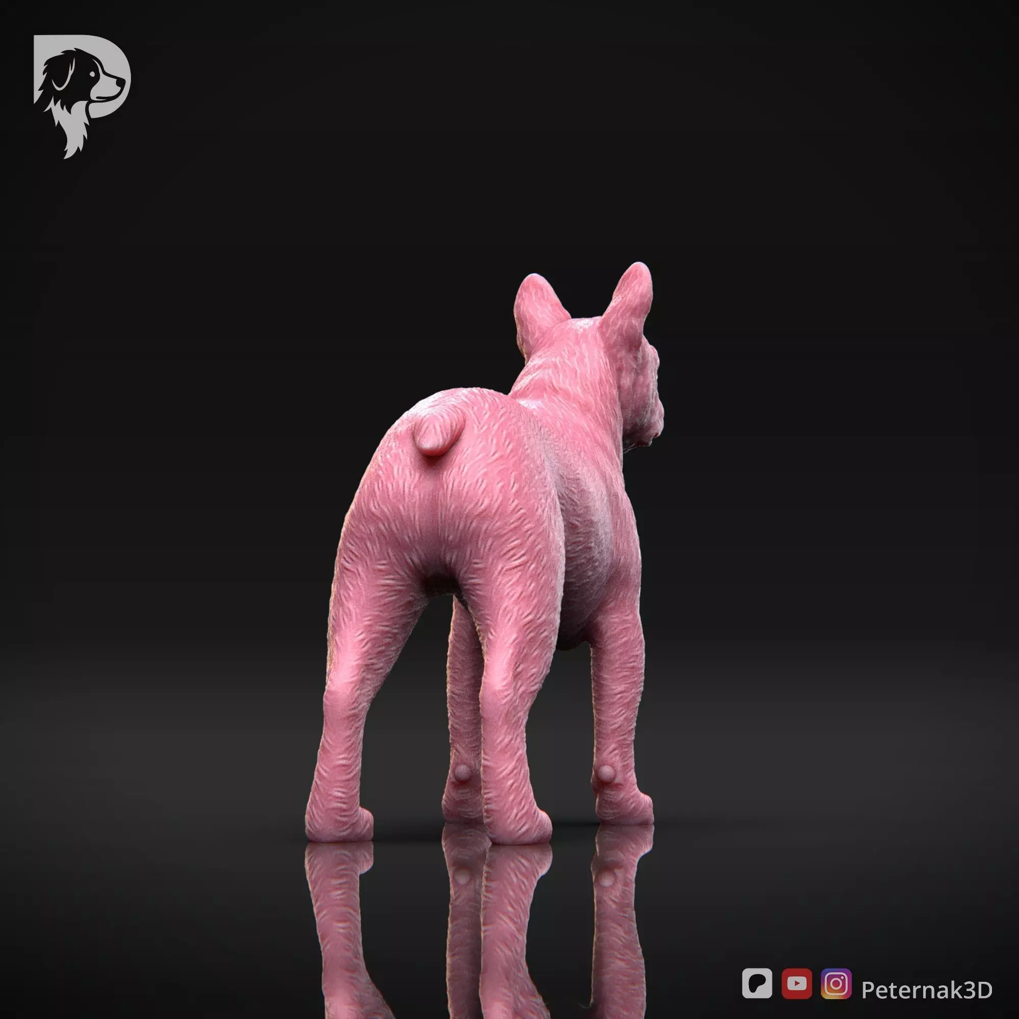 Dog 3D Print Model Boston Terrier Dog Pose 03 Ready STL 3D print model_6