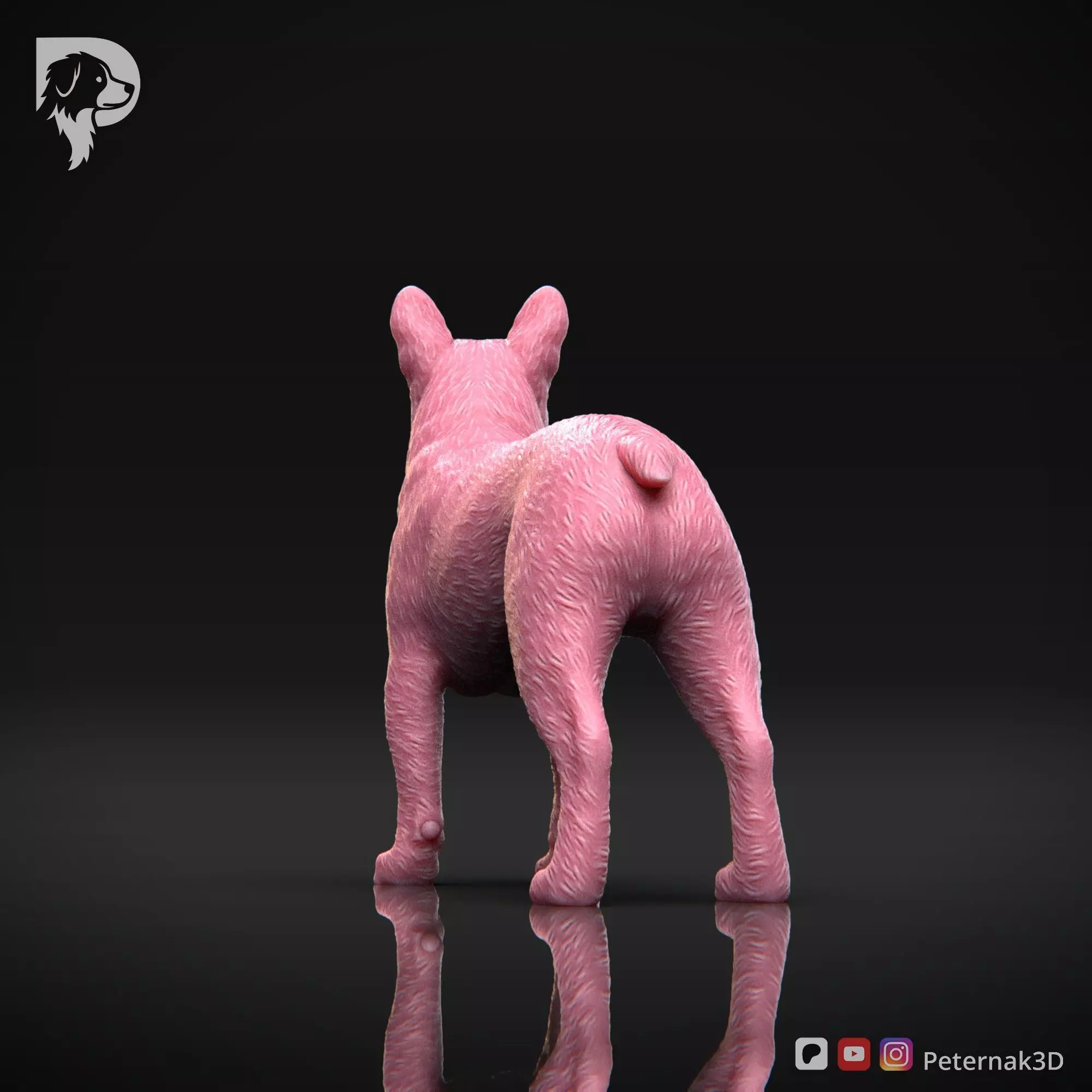 Dog 3D Print Model Boston Terrier Dog Pose 03 Ready STL 3D print model_7