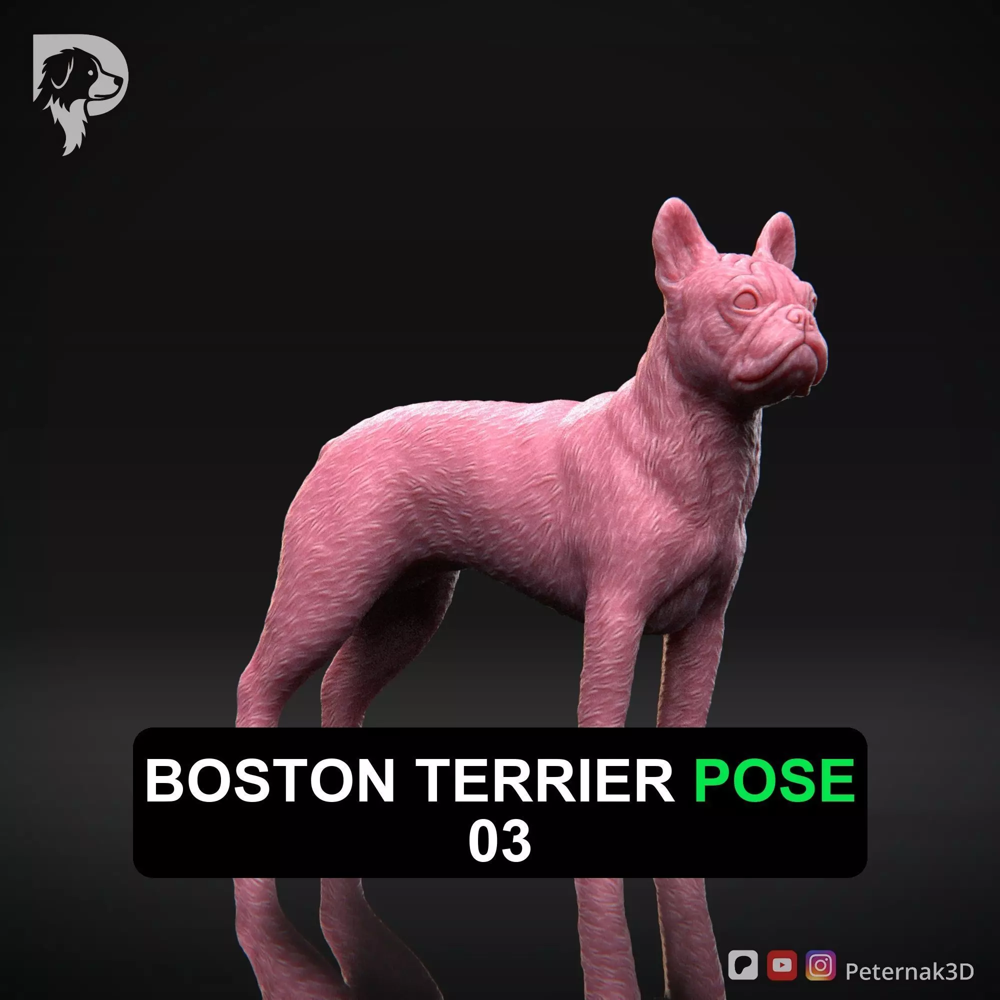 Dog 3D Print Model Boston Terrier Dog Pose 03 Ready STL 3D print model_0