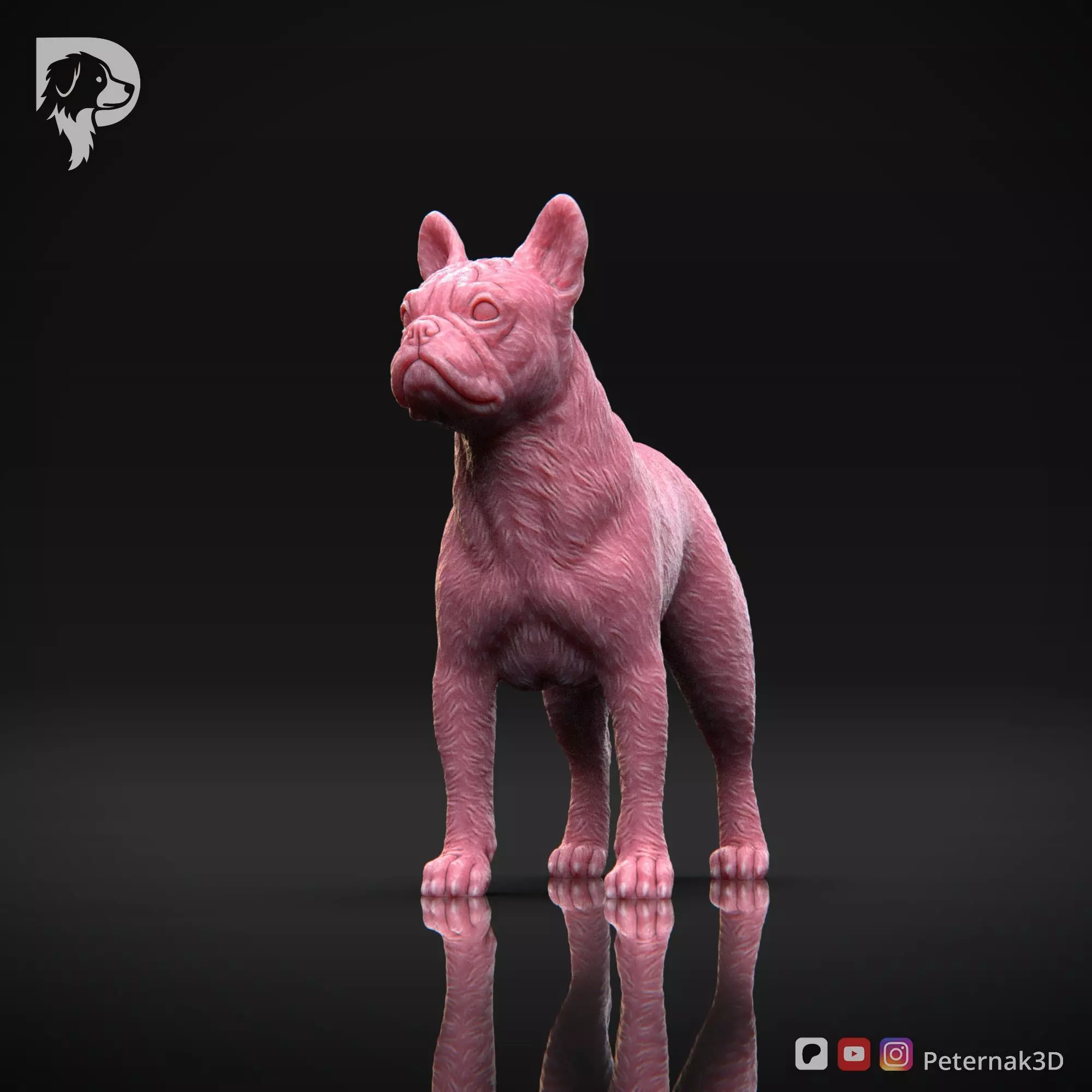 Dog 3D Print Model Boston Terrier Dog Pose 03 Ready STL 3D print model_11